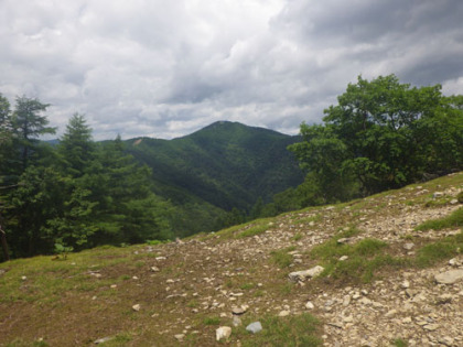 七ツ石山から見た雲取山。