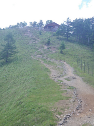 雲取山の登り坂。