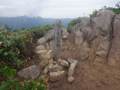 松ノ木沢の頭。この小ピークから森林限界を越えるらしく、正面に白毛門と朝日岳、左手に谷川岳が見える様になります。