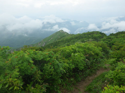 朝日岳からジャンクションピークに向かう稜線の道。巻機山に至る道は笹に覆われていていました。