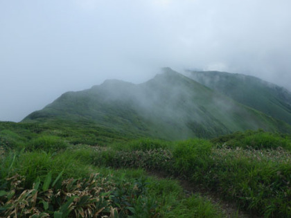 万太郎山から見た東俣ノ頭に伸びる稜線。