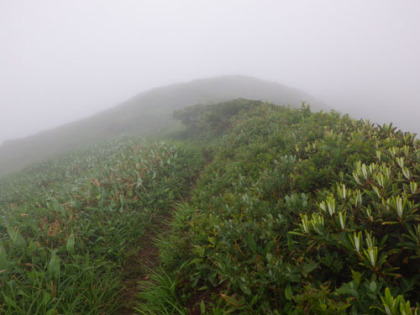 仙ノ倉山の登り。