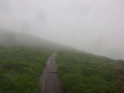 平標山の木道。