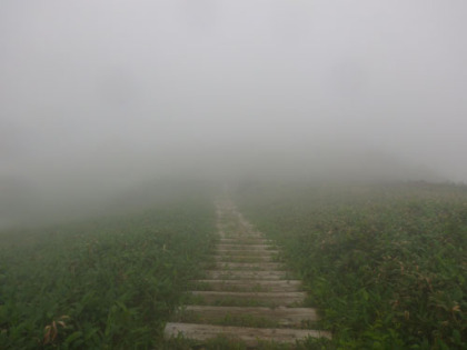 平標山の下り道。