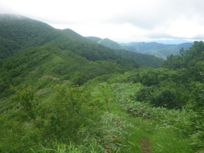 大源太山と平標山の鞍部。樹木に覆われた稜線です。