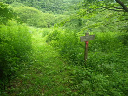 猿ヶ京温泉スキー場の跡地を通る箇所は、道と草地の区別がつかないほど下草が茂っていました。