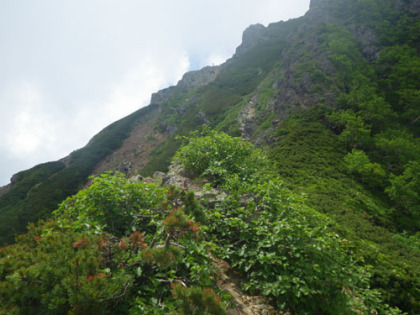 この日は視界の効かない曇天でしたが、山頂下の分岐が見える頃に、僅かに視界が通りました。