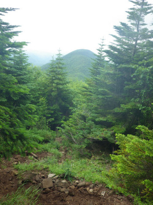 急斜面を下っていると、樹木の間から御小屋山が見えてきました。