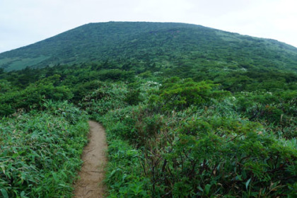 箕輪山に登る道はヤブコギをします。
