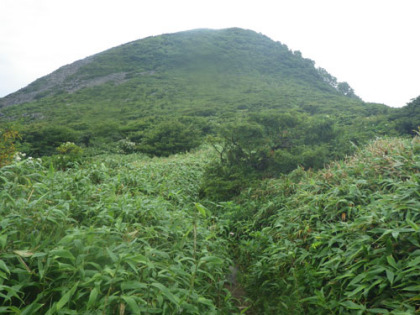 鬼面山のピーク。この山も藪を漕ぎます。