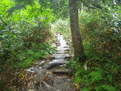東吾妻山の登り道は、豪雨の後で沢となっていました。