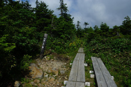 東大巓の山頂前の分岐。南に曲がって10m登ると山頂の道標が立っています。