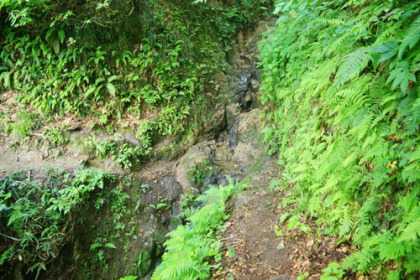 渓流に落ちる沢には水が流れているので、給水には困らない。
