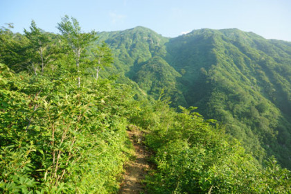 尾根の上に出ると見晴が良くなる。