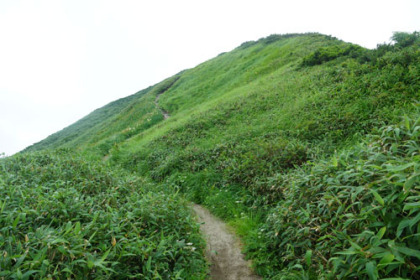 大日岳の山頂下の登り道。かなりの急勾配だがあえぐ頃に山頂に着く短い坂。