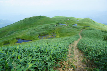 朳差岳の北が湿原となっている。