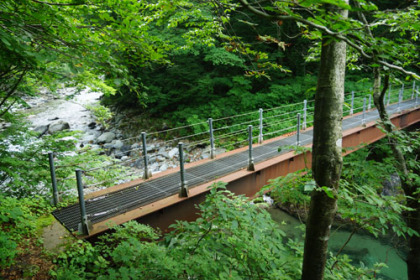 吊橋を渡ると登山道が終わり、大石林道の終点に出る。