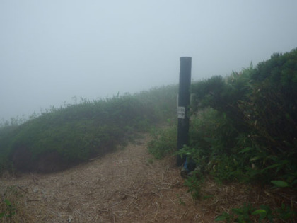 焼山の山頂は登山道から100mほど南には行ったところにあった。