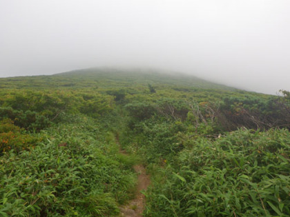 三ッ石山のなだらかな登り道。