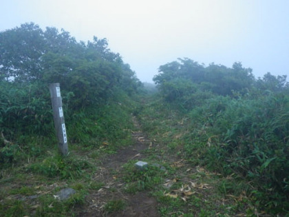 三ッ石山荘のすぐ東にある大松倉山の山頂。標識が立っていないと最高地点がどこか分からない様な山。