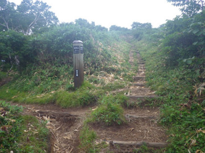 犬倉山の巻道と直登路の分岐。