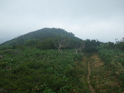 姥倉山の山頂。最高地点（三角点）は登山道から5mほどそれている。