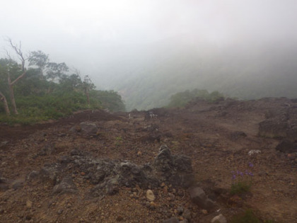 御神坂登山道は、上の方は火山礫で覆われている。