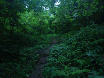 午後5時半頃にようやく森の中の登山道が明るくなってきた。