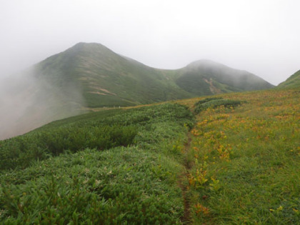 四塚山の登り道。