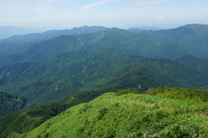 鞍部の杉峠の先は盛り上がっていて、その先端に赤兎山が見える。鞍部から赤兎山の山頂まで標高差が大きいことが分かる。