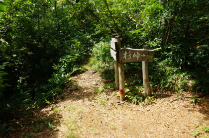 杉峠。三ノ峰からの下り坂はこの峠までだが、杉峠を過ぎてもすぐには登戸はならない。