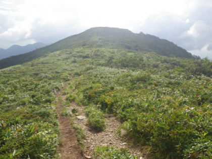 赤兎山の登り道。