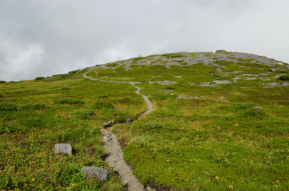 大汝ヶ峰の山頂から北に抜ける道。