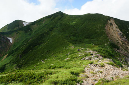 大汝ヶ峰と七倉山の鞍部には気持ちの良いハイマツ帯がある。