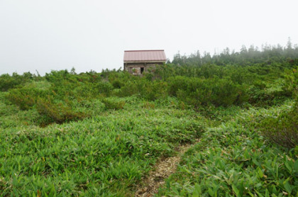 平の中にある小桜平避難小屋。