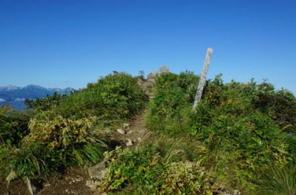 雨飾山の山頂。