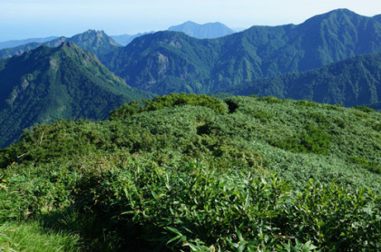 笹平から金山に下る道。正面に鋸岳の岩峰が見える。