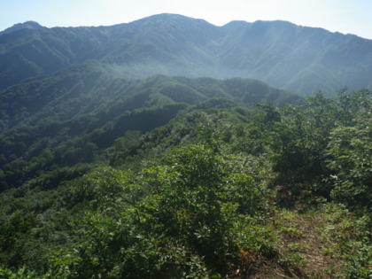 茂倉尾根を進むにつれ、金山の山容が大きくなって行く。