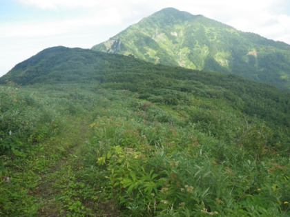 鞍部から見上げた影火打山。