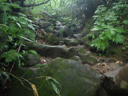 外輪山を越えて本山の登りにかかると岩の道となる。