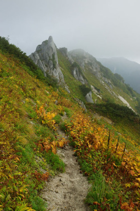 北燕岳の北の鞍部にあるお花畑。