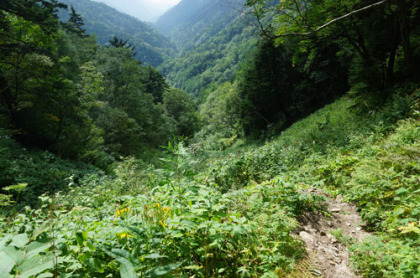 東沢登山道の強烈な坂道。上りよりも下りの方がつらいかもしれない。