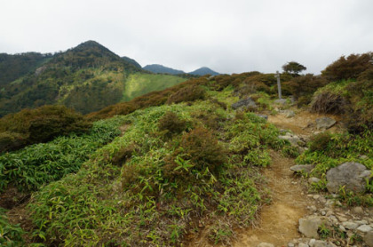 赤薙山に通じる尾根道。