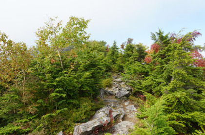 岩稜の尾根道は、木の根が露出していて滑りやすい。