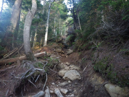 こちら側の登山道は道が荒れている。