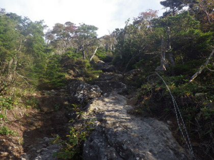 山頂下の岩場に出る。