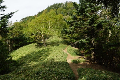 山王帽子山の鞍部。ここからきつい坂の上りとなる。