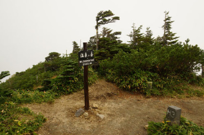 温泉ヶ岳の山頂。