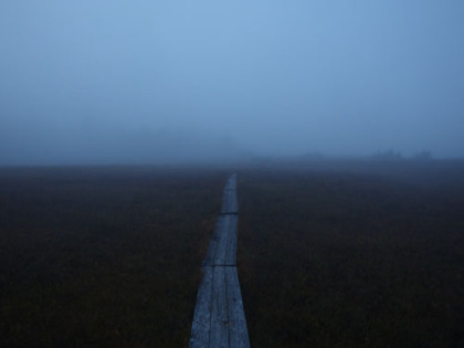 霧に覆われた夕暮れの鬼怒沼湿原。