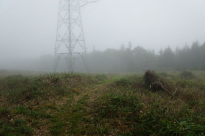 突然開ける送電線の刈り払い箇所。ここから尾瀬沼までは道ははっきりと付けられているが、悪い道。